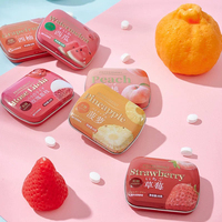 Suikervrije muntjes met diverse fruit smaken, bulk groothandel OEM/ODM, op maat gemaakte private label, frisse adem pepermunt snoepjes