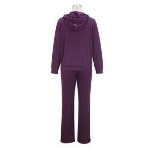 New Solid <b>Colour</b> Stylish Casual Hooded Sweatshirt Long Pants <b>Set</b> for Women Fashion - Product Image 6