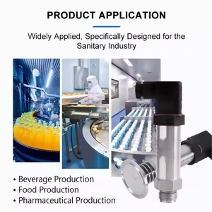 جهاز إرسال ضغط هيدروليكي 24 فولت تيار مستمر 250 بار مستشعر ضغط غشاء مسطح 4-20 مللا 0-10 فولت RS485 M20 * من أجل الغذاء - Product Image 5