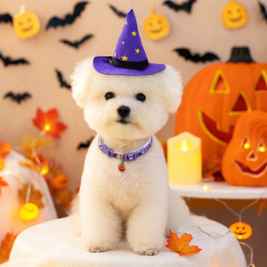 Accessoires de collier fantôme citrouille d'Halloween pour animaux de compagnie, chats, petits chiens et chiots - Parfaits pour les activités de plein air - Product Image 1
