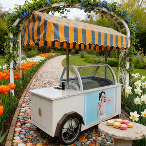 2 Wheel Outdoor Refrigerated Ice Cream Fast Food Towable Mobile <b>Trolley</b> Umbrella Ice Cream Push Vending Cart with Freezer - Product Image 6