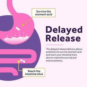 Kapsul probiotik <span class=keywords><strong>Oral</strong></span> 40 miliar kualitas tinggi suplemen <span class=keywords><strong>Herbal</strong></span> probiotik Label pribadi - Product Image 5