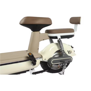 Venta Directa de Fábrica, Precio Económico, Bicicleta Eléctrica de 500W 48V para Adultos, Scooter Urbano con Motor sin Escobillas, Cuadro de Acero, Electrónica - Product Image 5