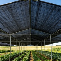 Zwarte HDPE verdikte, heavy-duty, vlak geweven, anti-UV, anti-verouderings, buitenlandbouw schaduwnet voor moestuin