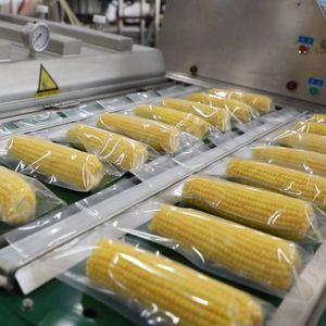 Délicieux maïs glutineux sucré de Chine, la <span class=keywords><strong>capitale</strong></span> du maïs, en vrac, 100% naturel, pour un plaisir immédiat. Maïs sucré surgelé - Product Image 5
