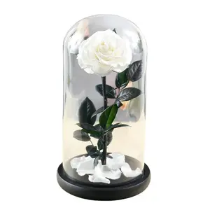 Satış düşük fiyat cam kubbe korunmuş çiçek gül çiçek hediye cam kubbe enchanted gül çiçek peri ışıkları ile cam kubbe