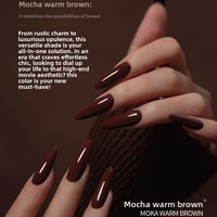 Ensemble de vernis gel Ladai, petit format, pointe dorée, moka, brun mat chaud, 24 couleurs, ensemble de vernis gel haut de gamme pour l'automne/l'hiver