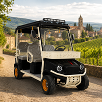 Buggy de loisirs SumEV 4 places pour villa privée, 60V, phares LED, pour utilisation en estate, ranch ou club de campagne