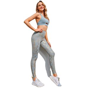 Vente en gros 2 pièces Ensembles de yoga sans couture pour femmes Taille haute Gym Fitness Vêtements de sport Manches longues Ensemble de vêtements de yoga en cours d'exécution léopard - Product Image 5
