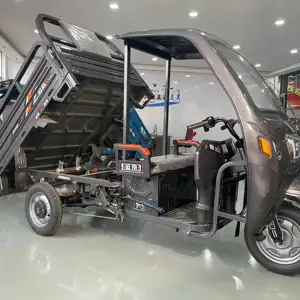 Triciclo elétrico de carga chinês 1300W, triciclo basculante de 3 rodas, grande Dreirad Elektro para adultos, triciclo elétrico