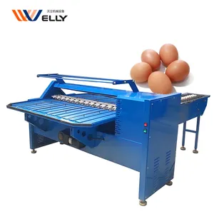 Food Grade Weight Fish Duck Egg Candler Grading Equipment Egg Grader And Sorter Machine 3 Row Price