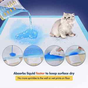 Pequeño Entrenador de Adiestramiento para Perros Desechable y Sostenible, Fabricado con Materiales de Fibra y Tela - Product Image 4