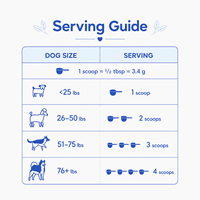 Poudre de citrouille à marque privée pour chiens, riche en fibres, pour la santé digestive et le soutien des selles, complément alimentaire pour animaux de compagnie, formule personnalisée OEM ODM