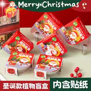 Coffret Cadeau de Plantes en Pot Miniatures pour Noël, Idéal pour Enfants et Cadeaux de Fêtes, en Papier avec Impression Numérique - Product Image 5