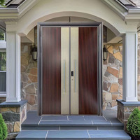 Porte d'entrée double sur mesure avec cadre en acier robuste, traitement de surface anti-corrosion, fournisseur