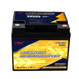 12V 50ah 100ah 200ah Lithium batterie für Solarenergie speichers ystem