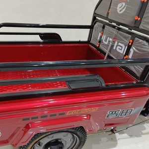 รถสามล้อไฟฟ้าขนาดเล็กสำหรับผู้สูงอายุ ขายส่งจากโรงงาน - Product Image 2