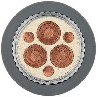 Cable de Alimentación Flexible de Cobre de 3+2 Núcleos BBTRZ, Resistente al Fuego, con Aislamiento Mineral de 0.6/1kV para Distribución de Energía