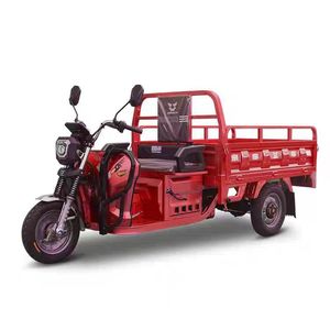 Трехколесный электрический мотоцикл Songsheng для сельского хозяйства и отдыха, грузоподъемность 300-400 кг, система впрыска топлива Kingdom Four - Product Image 1
