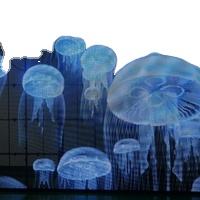 Barra de Luz LED Transparente XQD IP66 de Fácil Instalación, Pantalla de Malla, Cortina de Luz, Decoración para Techos de Edificios, Fuentes, Paisajes, Alta Frecuencia de Actualización - Product Image 5