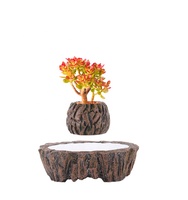 Pots de plantes à arrosage automatique intérieur/extérieur au design moderne pour le sol de jardin, carrés et ronds, ensemble de plantes personnalisées et bon marché, vente en gros, usage domestique