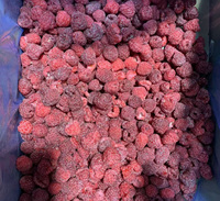 Frambuesas Congeladas IQF Sin Semillas, Enteras y en Trozos, 100% Naturales, Rojas, para Puré de Frutas y Alimentos para Bebés