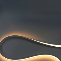 Flex Silicone Neon Cover IP65 Étanche LED Flexible Néon pour 5mm/6mm/8mm/12mm Led Bande Décoration Éclairage