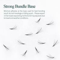 Vente chaude de haute qualité Song Lashes Individual Pure Black Private Label Extensions de cils Fan 5D Wispy Fans Premiere Pro cc
