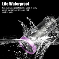 Lampe torche LED haute puissance rechargeable par USB, lanterne UV 365NM, miroir noir, détection de lumière violette, lampe ultraviolette