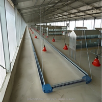 Estructura de Acero Prefabricada para Gallineros, Moderna, Galvanizada, Ligera, de Metal