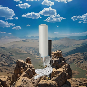 Dài Phạm Vi 20 Km Tùy Chỉnh Ban Nhạc 2.4G 5G Mimo <span class=keywords><strong>Wifi</strong></span> Cơ Sở Trạm Antenna Cho SMA Kết Nối Ngoài Trời Omni Dọc IP67 10-14dbi - Product Image 2