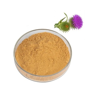 مستخلص بذور شوك الحليب العضوي عالي الجودة بنسبة 80% سيليمارين مسحوق - Product Image 3