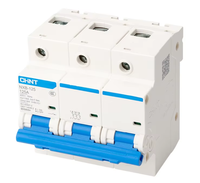Interruptor de Circuito en Miniatura Chint NXB-125, Interruptor de Aire Doméstico, Interruptor Principal Tipo C 125A de Alta Potencia, Terminal de Alimentación de 100A
