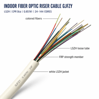 Câble Riser à Fibre Optique Intérieur GJFZY 24-144 Cœurs LSZH G.657A1 Micromodule CPR DCA pour Réseau Vertical de Bâtiment FTTH FTTO
