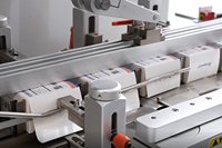 Línea de Clasificación de Bolsas Multifuncional Totalmente Automática para el Embalaje de Bolsas o Sobres, Conteo, Clasificación, Detección y Embalaje en Cajas