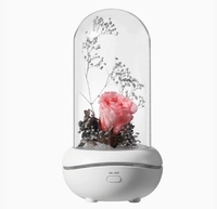 Décoration Petit Parfum Aromatheray Diffuseur avec Batterie Diffuseur d'Huiles Essentielles Humidificateur pour Bureau à Domicile