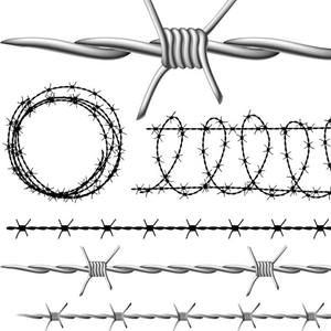 Rollo de Alambre de Púas Galvanizado de Alta Calidad, Rollo de Alambre de Púas de Acero Inoxidable, Cerca de Alambre de Púas Anti-Escalada - Product Image 4