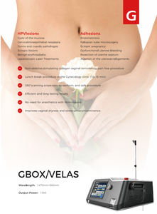 Laser a Diodi 1470nm + 980nm per Uso Estetico e Benessere Femminile - Product Image 2