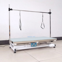 Table de toilettage électrique à LED OSCAT pour animaux de compagnie avec interrupteur à bouton, verre trempé de 8 mm, pour salon de toilettage