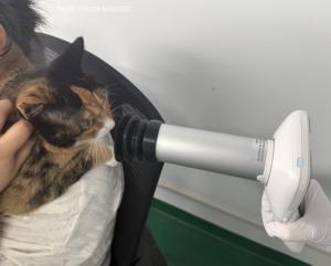 Caméra professionnelle Fundus pour animaux de compagnie Caméra rétinienne <span class=keywords><strong>portable</strong></span> non mydriatique pour vétérinaire - Product Image 1