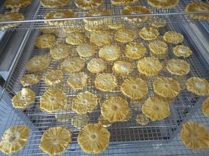 Deshidratador Comercial de Frutas y Vegetales KINKAI para Uso Agrícola de Alta Capacidad (5-20kg/h) - Product Image 6