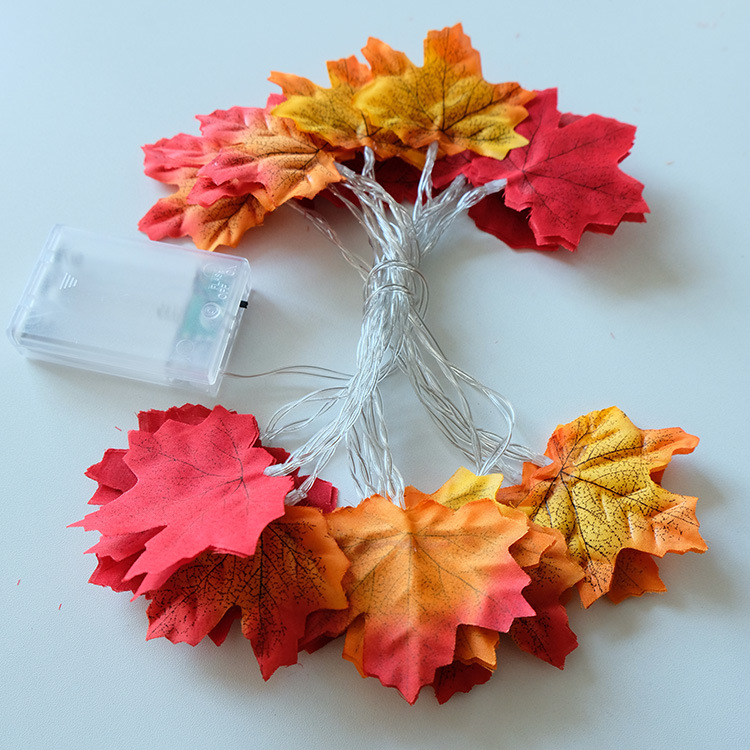 3.3 couleurs Érable