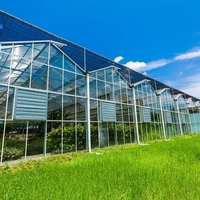 Serres agricoles commerciales multi-chapelles en verre avec système hydroponique pour la production de laitues, de fraises et de fleurs