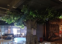 Arbre artificiel de grande taille en ciment, personnalisé par les fabricants, grand arbre de simulation, érable, banian, ginkgo, restaurant, hôtel
