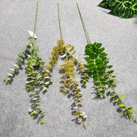 Daun Eucalyptus Buatan PVC Sentuhan Realistis Gaya Nordik, Cabang Panjang, Tanaman Hias Lanskap, Hijauan Indoor/Outdoor, Dedaunan Pohon Uang