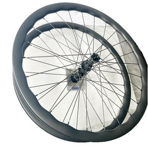 DFS système <span class=keywords><strong>de</strong></span> cliquet <span class=keywords><strong>de</strong></span> moyeu <span class=keywords><strong>de</strong></span> vélo le moins cher ultraléger pour <span class=keywords><strong>roue</strong></span> en carbone 283g frein à disque HG XDR gravier Road/TT Thru Axle 24H CENTRE LOCK - Product Image 6