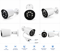 Caméra de sécurité PoE personnalisée en usine, caméra IP HD extérieure étanche avec vision nocturne infrarouge, détection de mouvement et alarme