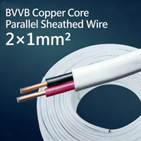 Kabel Listrik BVVB Flat Stranded Berisolasi PVC Inti Tembaga 2/3 Inti untuk Instalasi Bangunan