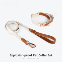Kalung Anjing, Tali Anjing, Set Tali Kekang, Berlapis Emas, Logo Custom, Aksesoris Hewan Peliharaan, Perlengkapan, Untuk Anjing Ras Kecil dan Sedang