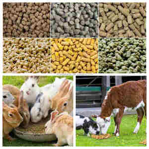 Bán nóng 200kg Thức ăn viên máy động vật thiết bị nông nghiệp Thức ăn viên dây chuyền sản xuất máy trộn thức ăn - Product Image 3